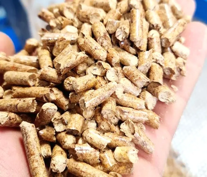 Ile kosztuje pellet? Porównanie cen i ofert geschniegelt